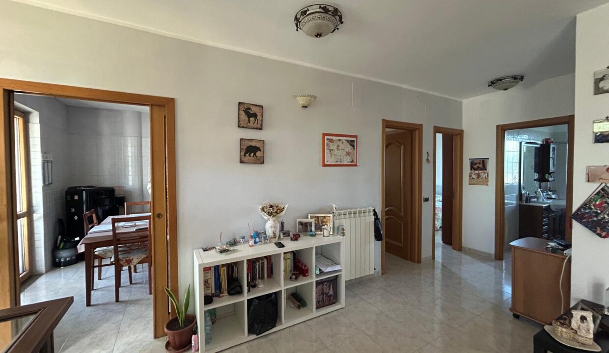 WhatsApp Image 2026-01-27 at 17.40.26 (5)