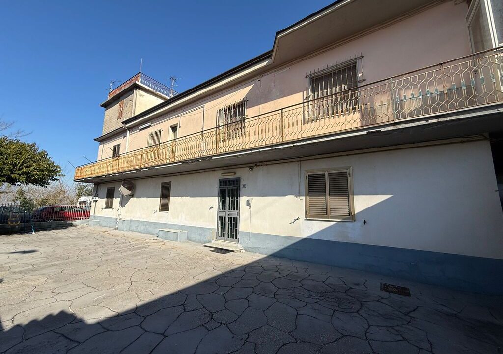 WhatsApp Image 2026-02-02 at 11.02.39(1)