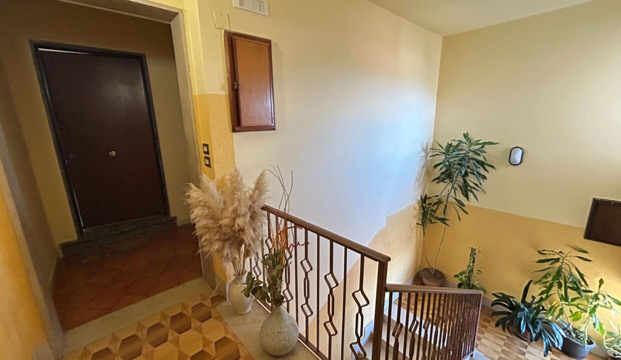 WhatsApp Image 2026-02-04 at 19.57.17 (3)