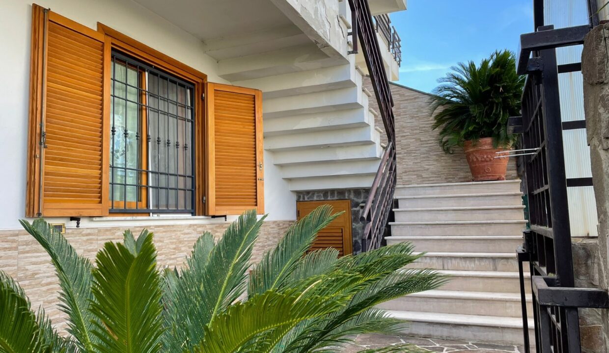 WhatsApp Image 2026-02-10 at 17.02.20 (1)