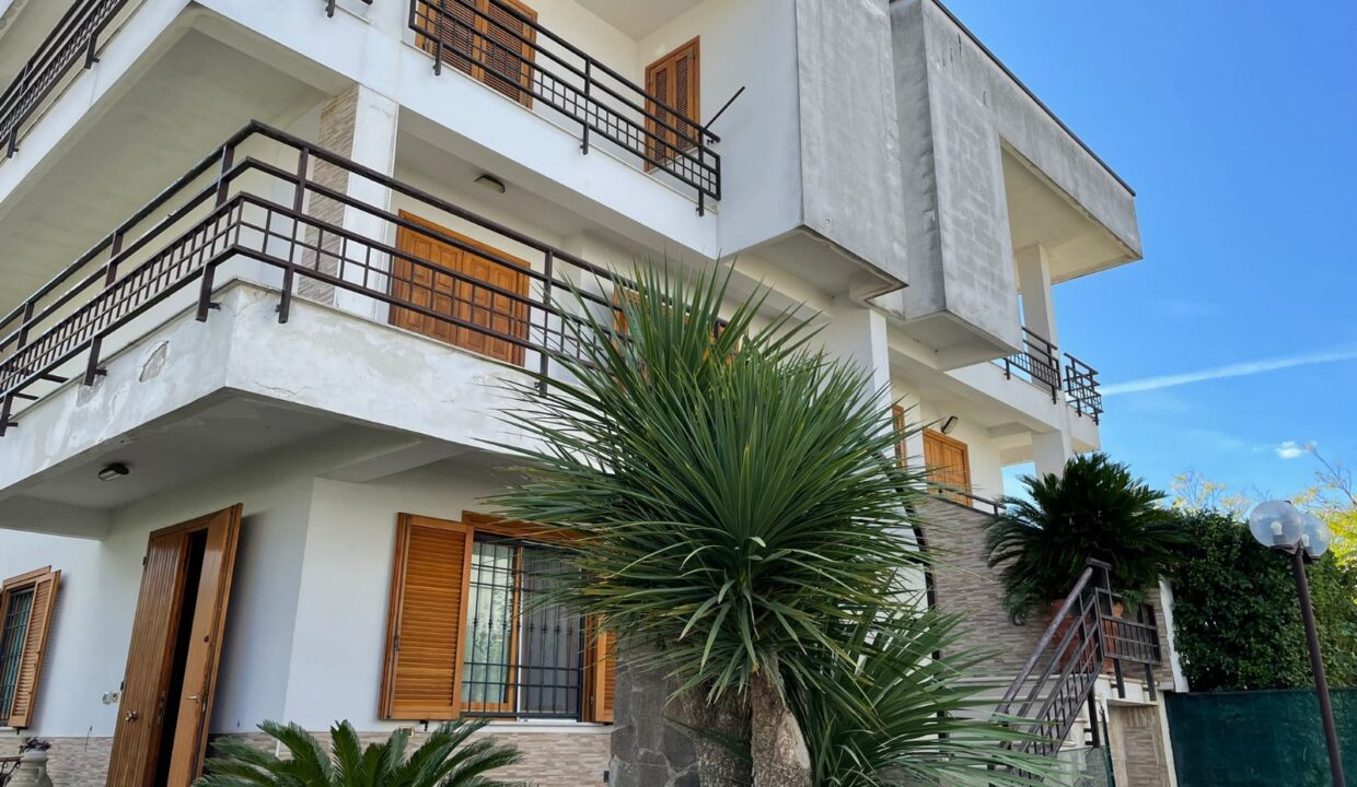 WhatsApp Image 2026-02-10 at 17.02.20 (2)