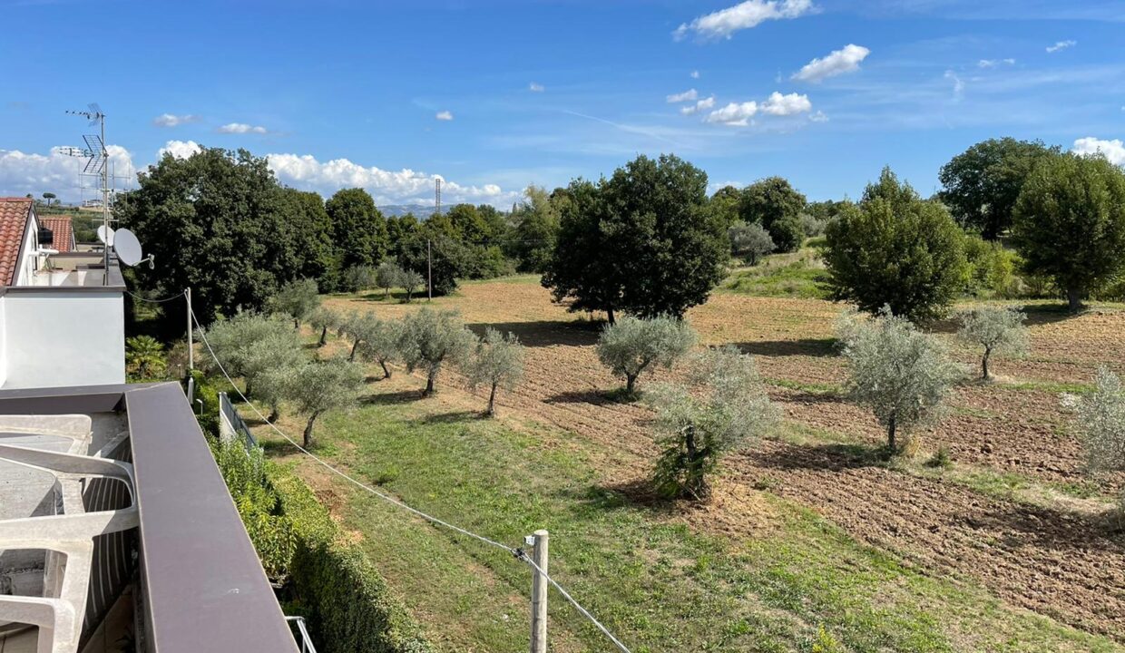 WhatsApp Image 2026-02-10 at 17.02.21 (11)