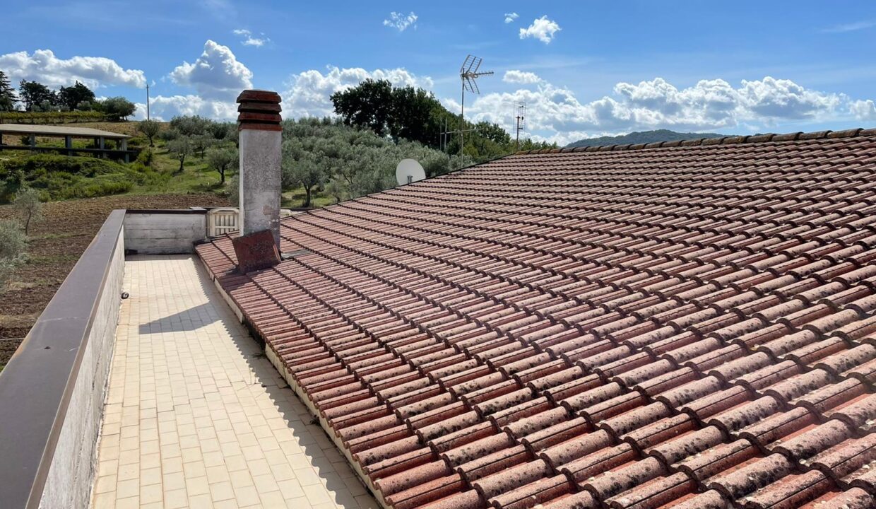 WhatsApp Image 2026-02-10 at 17.02.21 (15)