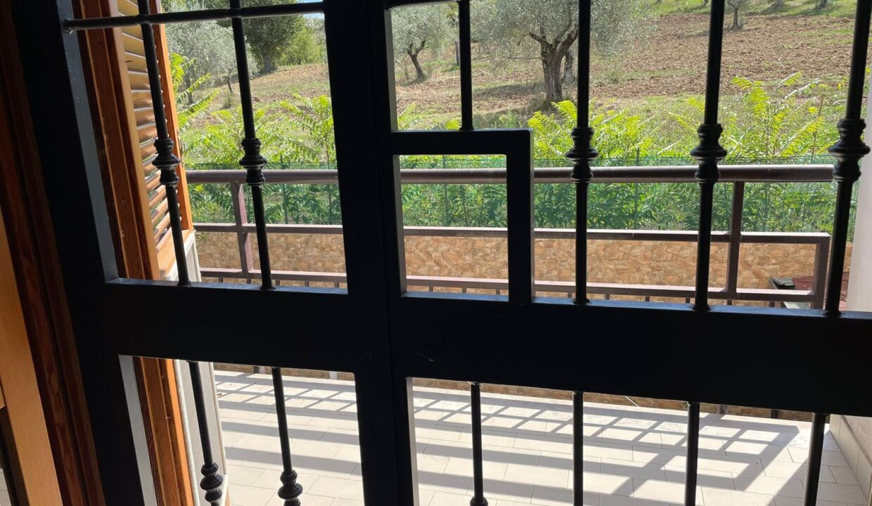 WhatsApp Image 2026-02-10 at 17.02.21 (16)