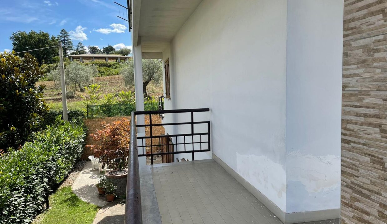 WhatsApp Image 2026-02-10 at 17.02.21 (18)