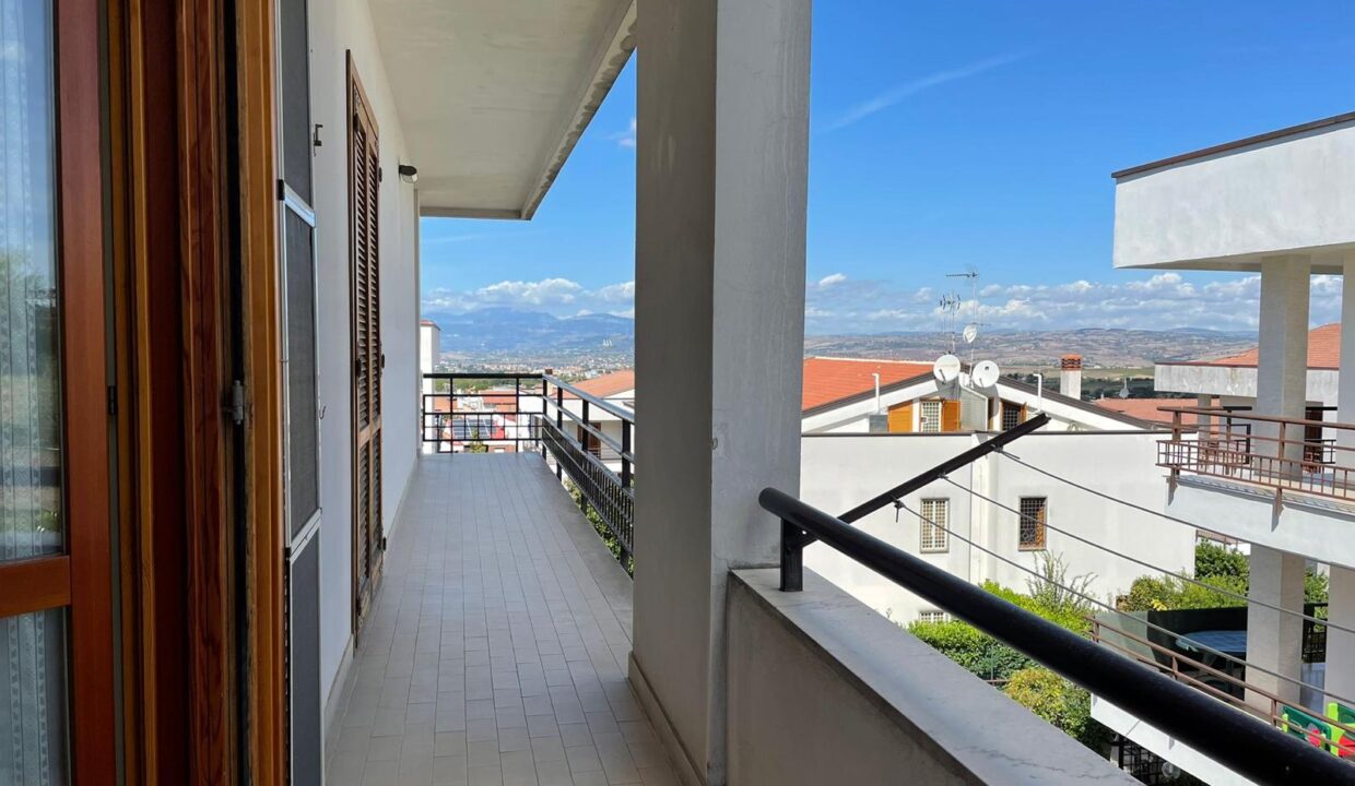 WhatsApp Image 2026-02-10 at 17.02.23