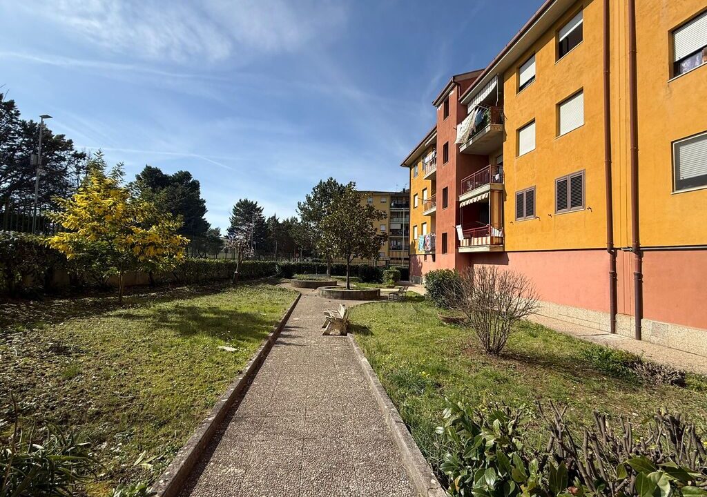 WhatsApp Image 2026-02-23 at 11.56.17(2)