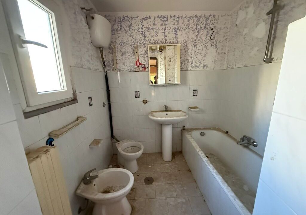 WhatsApp Image 2026-02-23 at 12.53.58