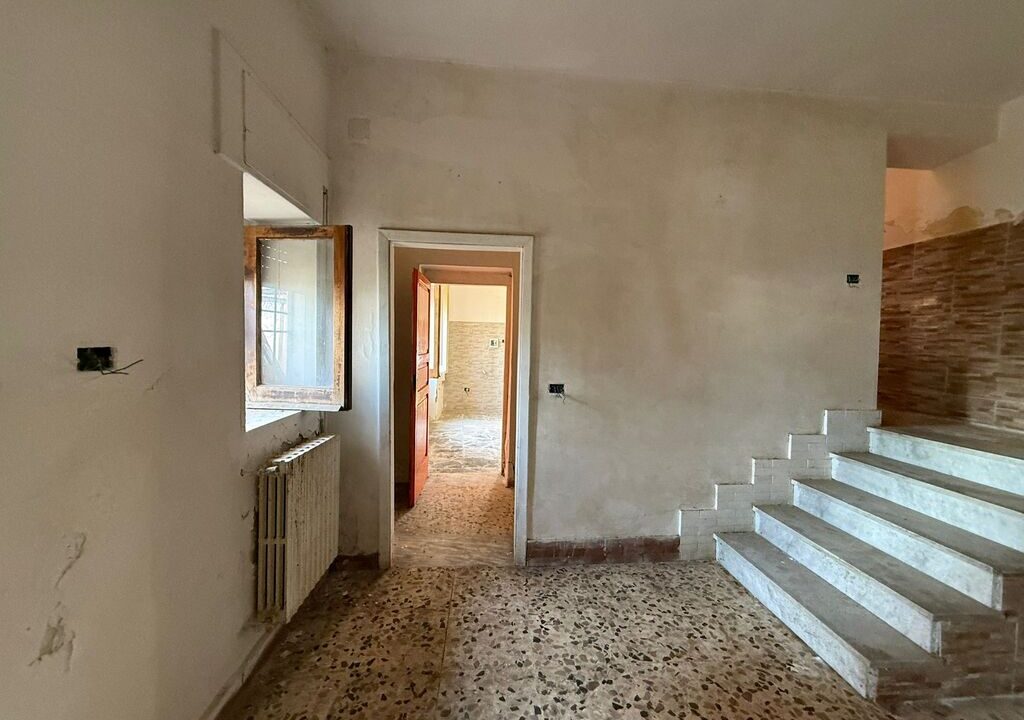 WhatsApp Image 2026-02-23 at 12.53.58(3)