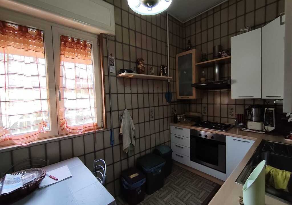 WhatsApp Image 2026-02-24 at 11.53.17(1)