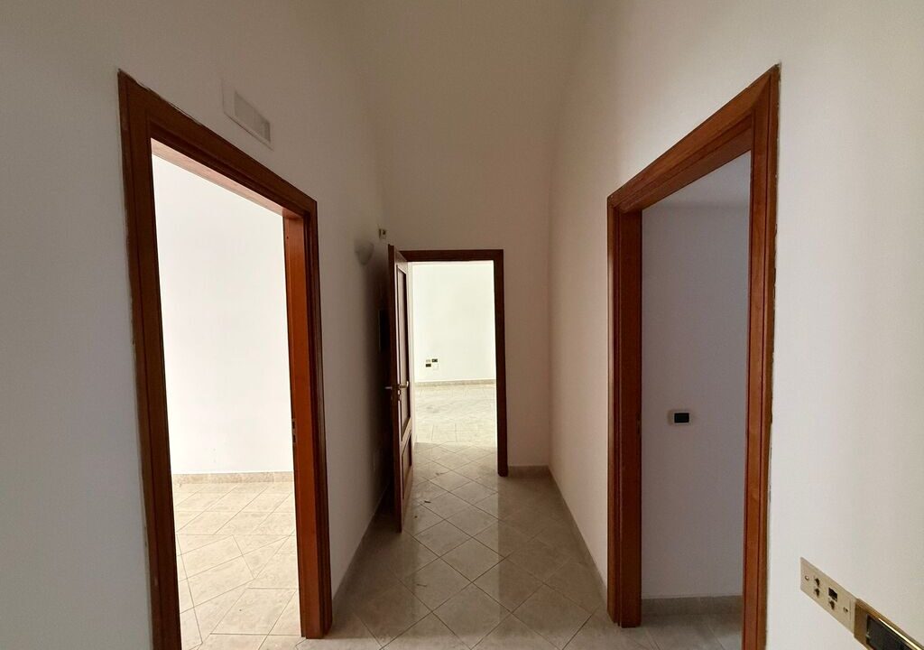 WhatsApp Image 2026-02-25 at 09.31.36(1)