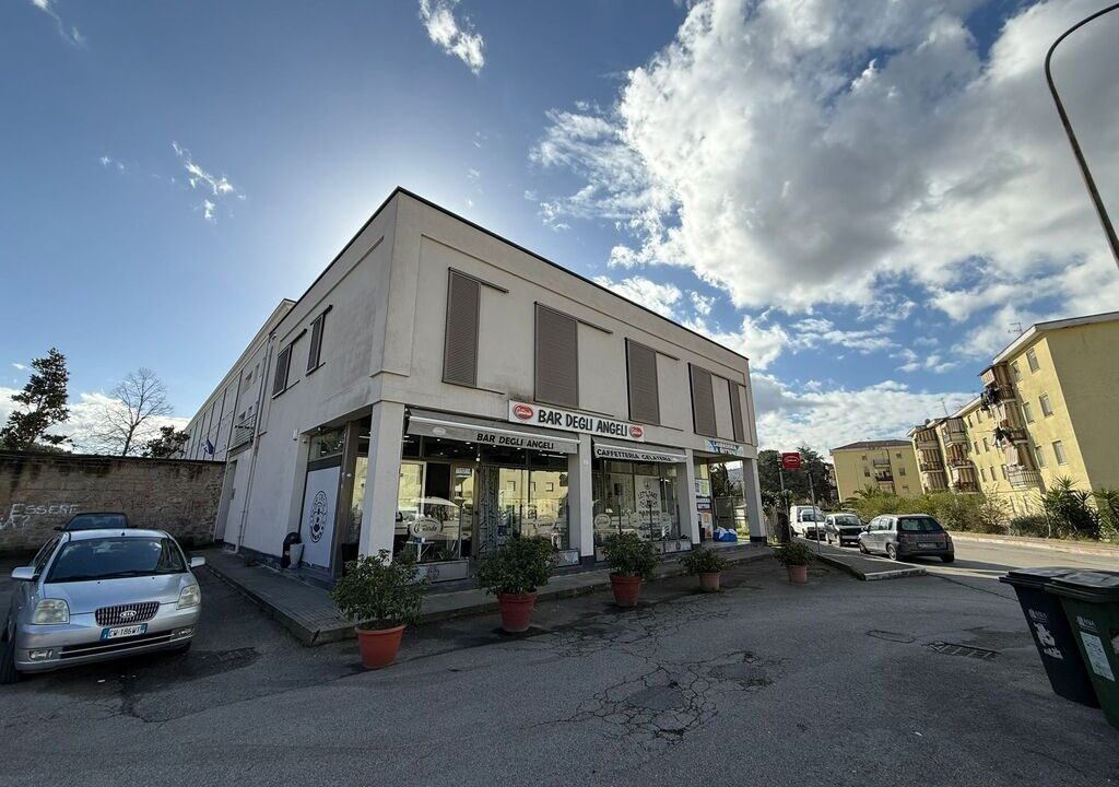 WhatsApp Image 2026-02-07 at 12.00.37