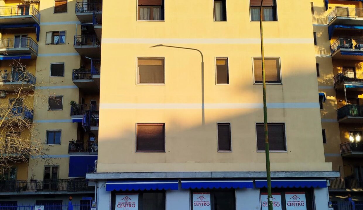 WhatsApp Image 2026-02-26 at 18.46.27