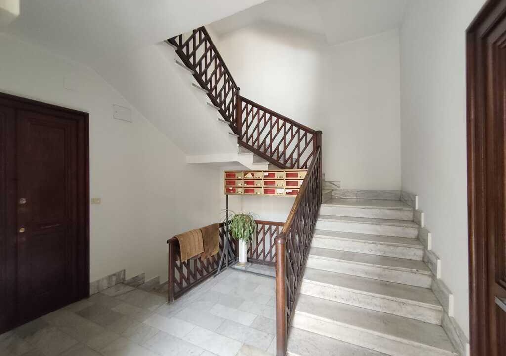 WhatsApp Image 2026-03-05 at 13.02.38(8)