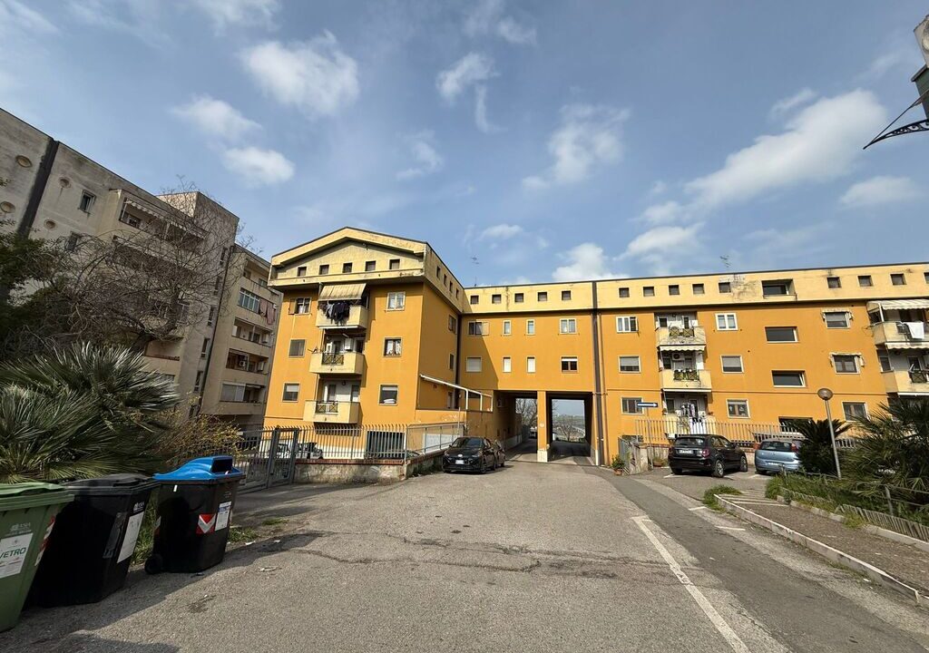 WhatsApp Image 2026-03-07 at 10.33.22(1)