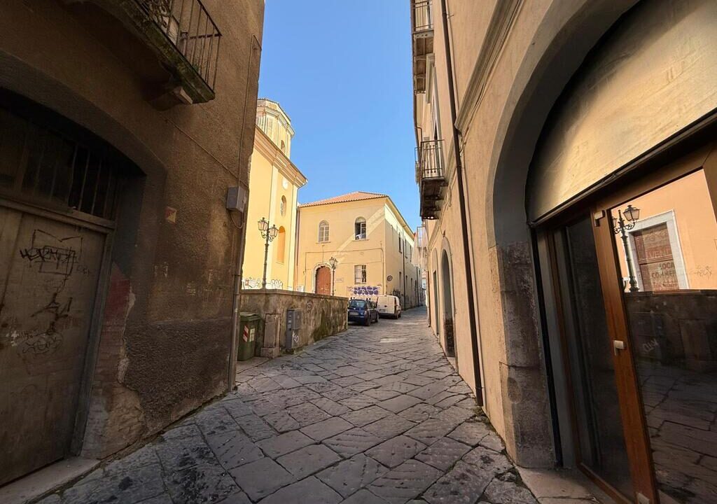 WhatsApp Image 2026-03-10 at 10.51.39(1)