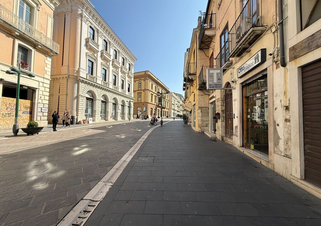 WhatsApp Image 2026-03-10 at 11.00.50