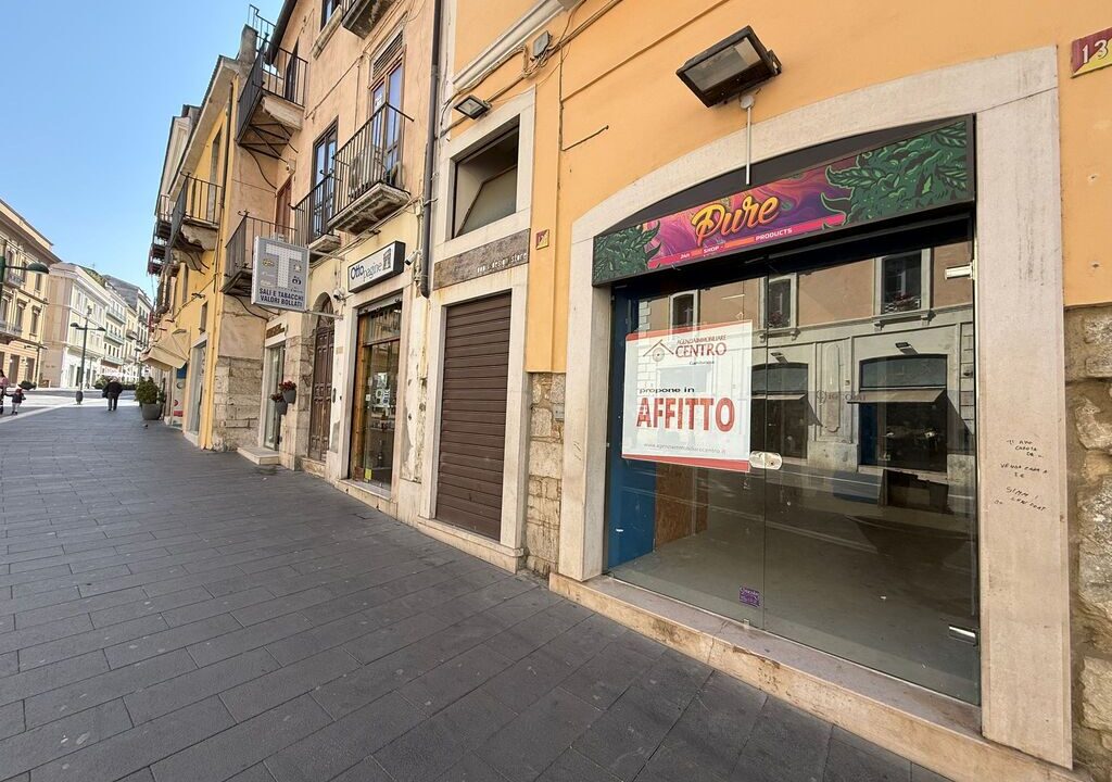 WhatsApp Image 2026-03-10 at 11.00.50(2)