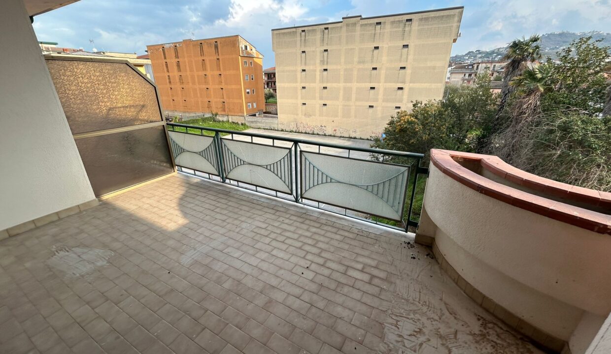 WhatsApp Image 2026-03-11 at 17.03.43 (1)