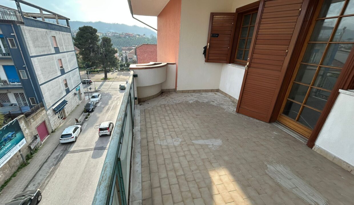 WhatsApp Image 2026-03-11 at 17.03.43