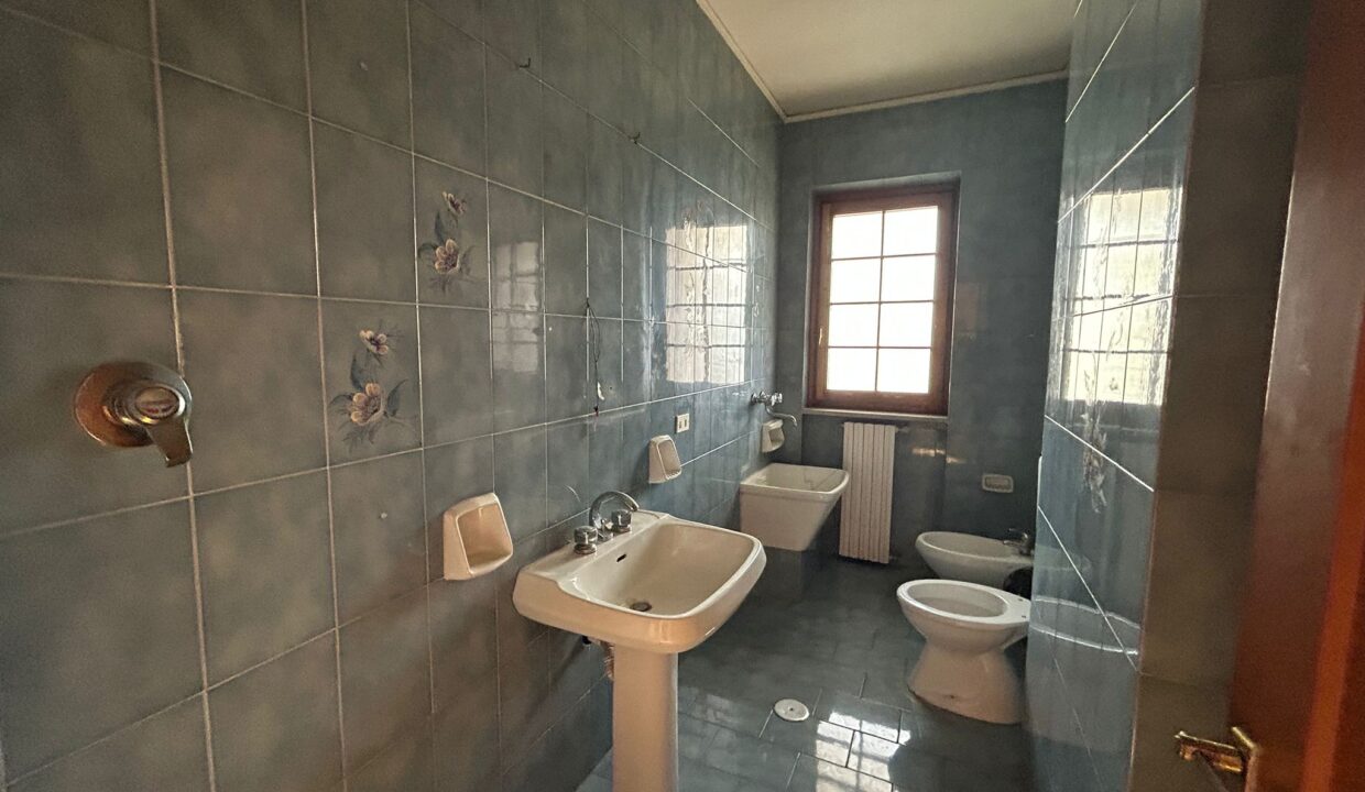 WhatsApp Image 2026-03-11 at 17.03.43 (2)