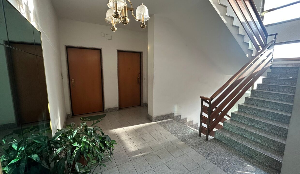 WhatsApp Image 2026-03-11 at 17.03.45 (1)