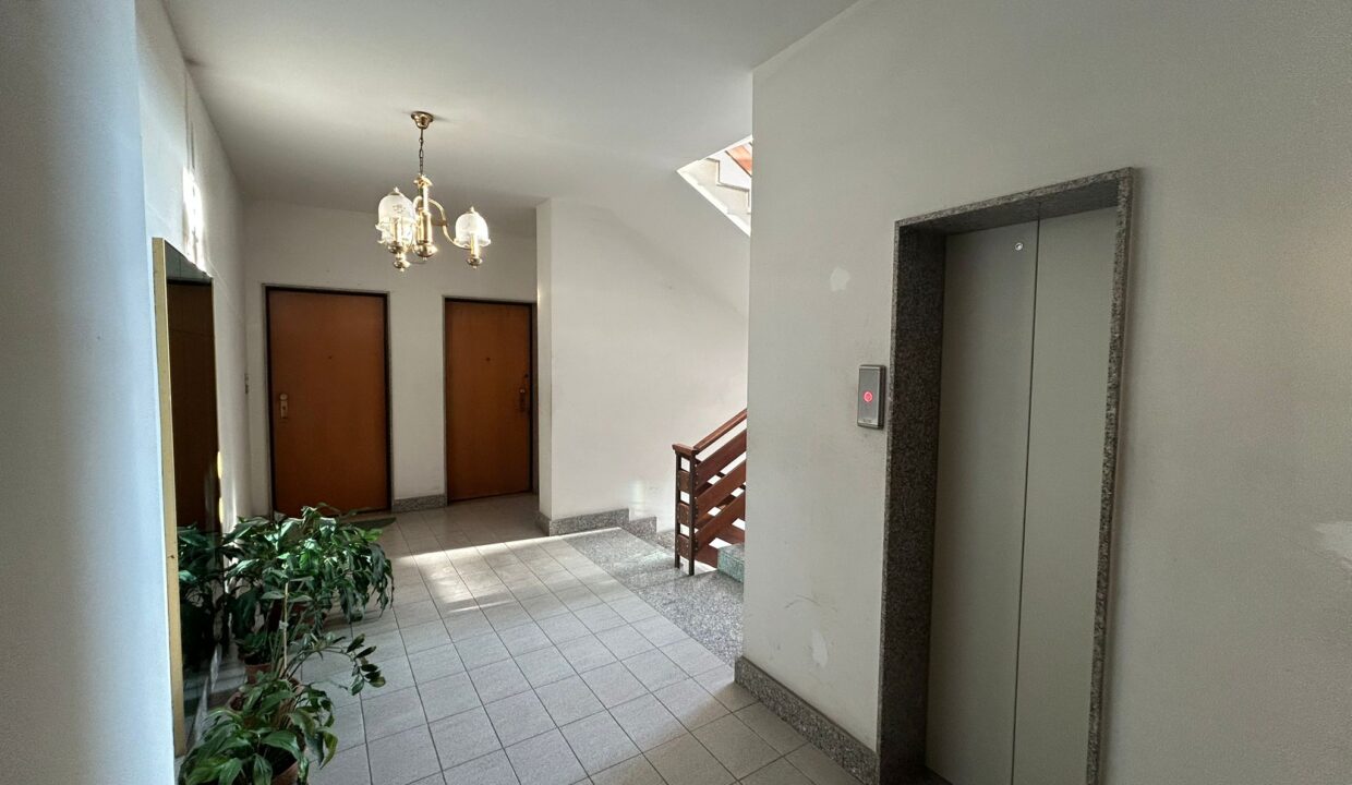 WhatsApp Image 2026-03-11 at 17.03.45