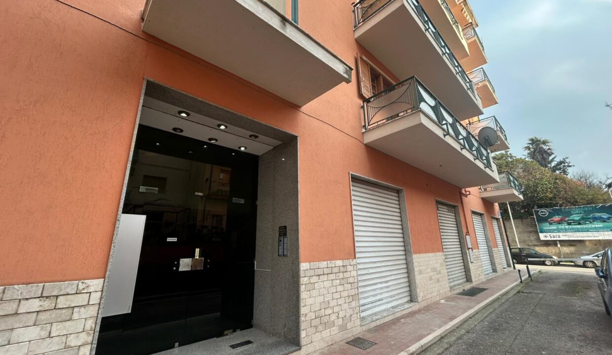 WhatsApp Image 2026-03-11 at 17.03.46 (1)