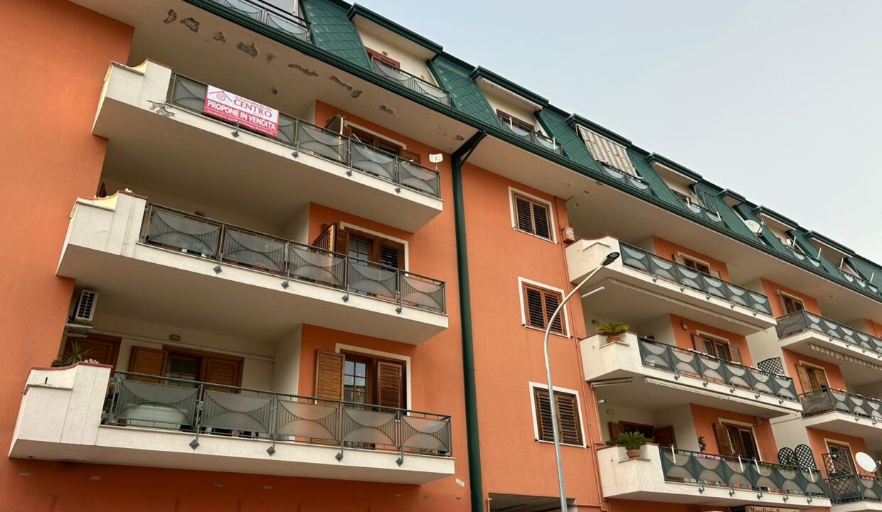 WhatsApp Image 2026-03-11 at 17.03.46 (2)