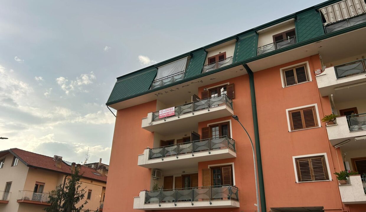 WhatsApp Image 2026-03-11 at 17.03.46 (3)