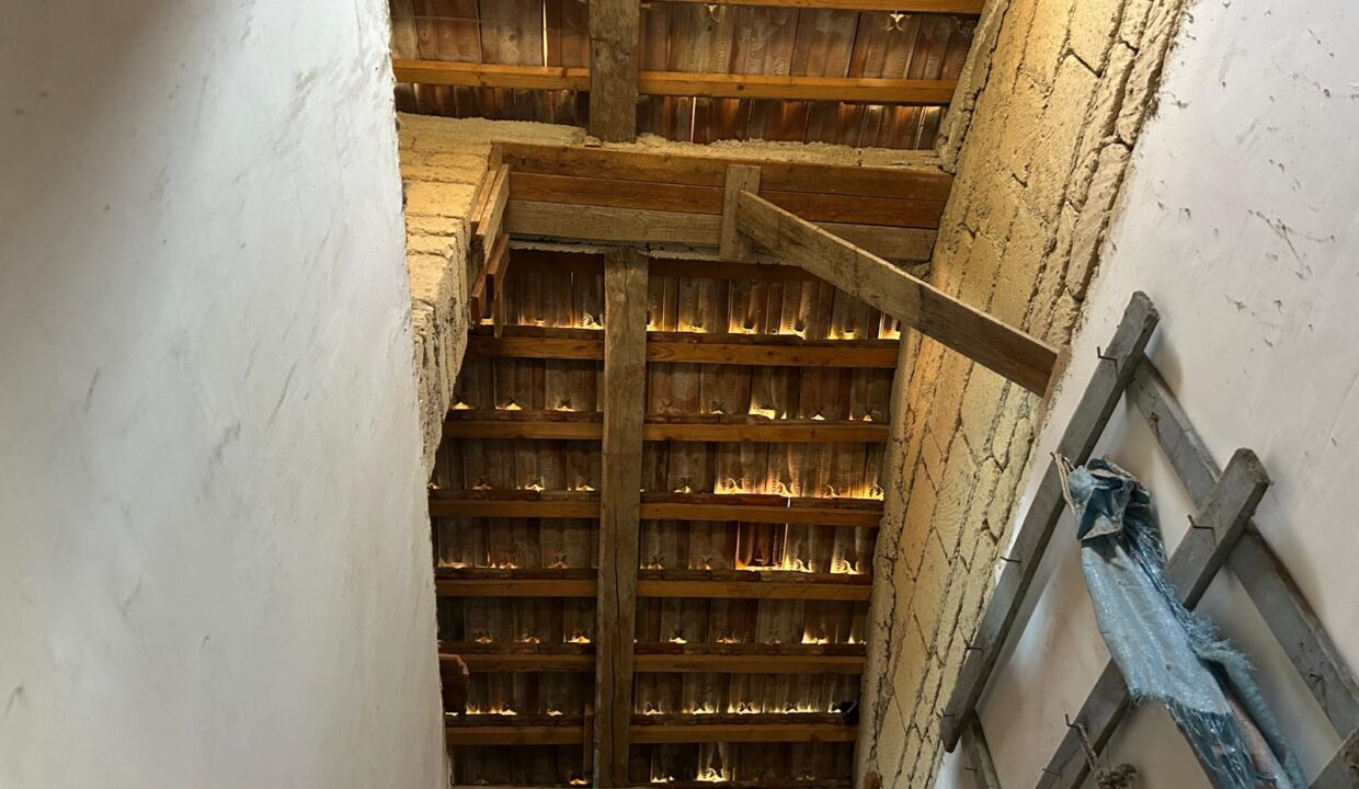 WhatsApp Image 2026-03-25 at 11.19.38