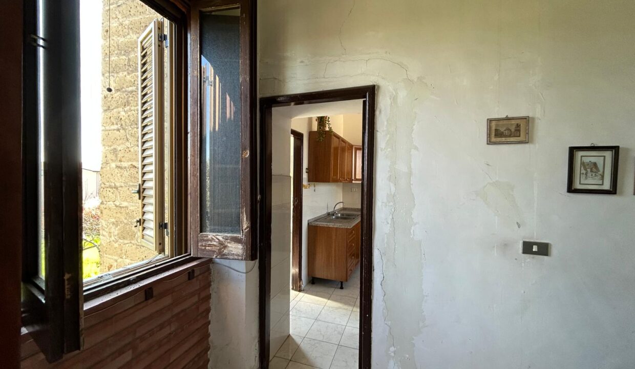 WhatsApp Image 2026-03-25 at 11.19.38 (4)