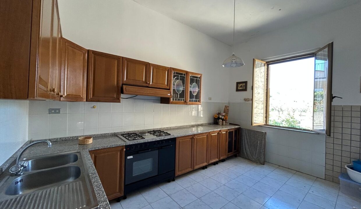 WhatsApp Image 2026-03-25 at 11.19.38 (6)