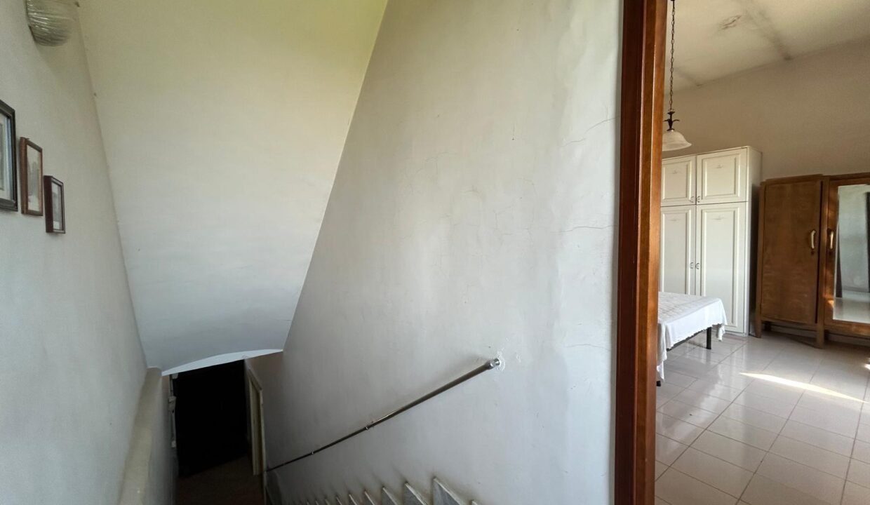 WhatsApp Image 2026-03-25 at 11.19.39