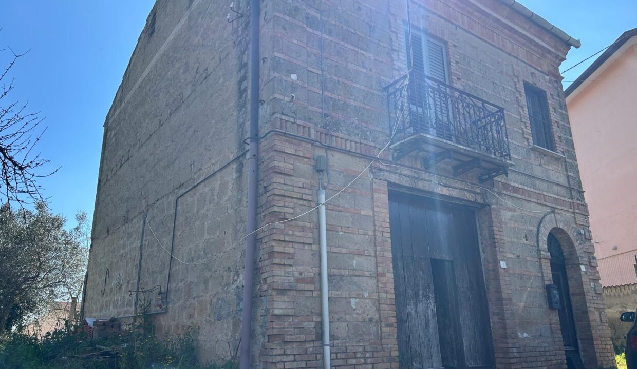 WhatsApp Image 2026-03-25 at 11.19.40 (1)