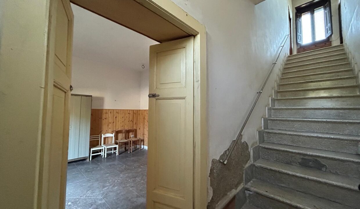 WhatsApp Image 2026-03-25 at 11.19.40