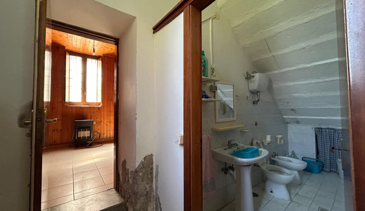 WhatsApp Image 2026-03-25 at 11.19.40 (6)