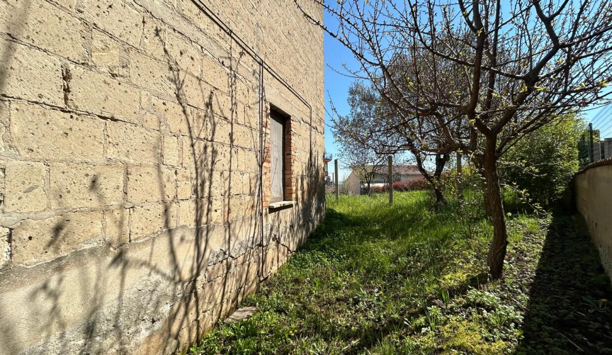 WhatsApp Image 2026-03-25 at 11.19.42