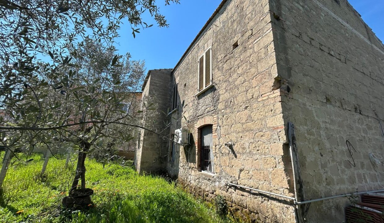 WhatsApp Image 2026-03-25 at 11.19.42 (3)