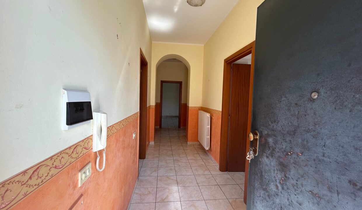 WhatsApp Image 2026-03-25 at 11.20.29 (2)