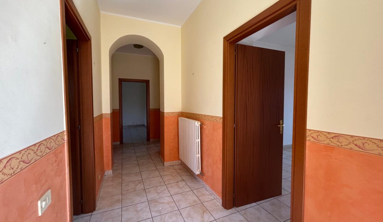 WhatsApp Image 2026-03-25 at 11.20.29 (3)