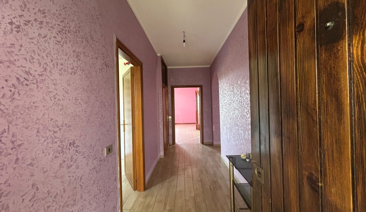 WhatsApp Image 2026-03-25 at 12.47.30