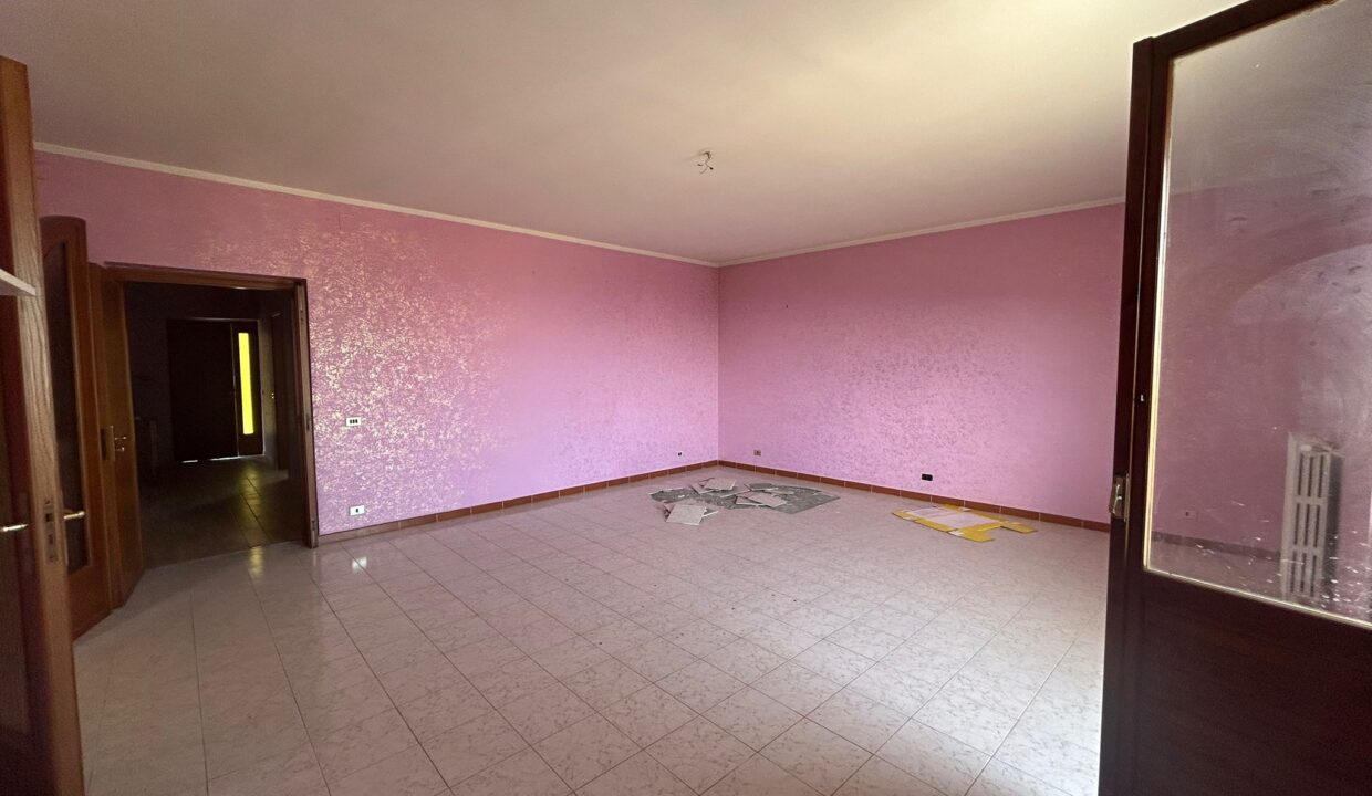 WhatsApp Image 2026-03-25 at 12.47.31 (3)