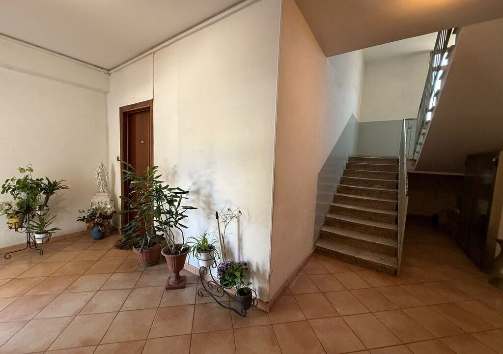 WhatsApp Image 2026-03-30 at 12.20.14