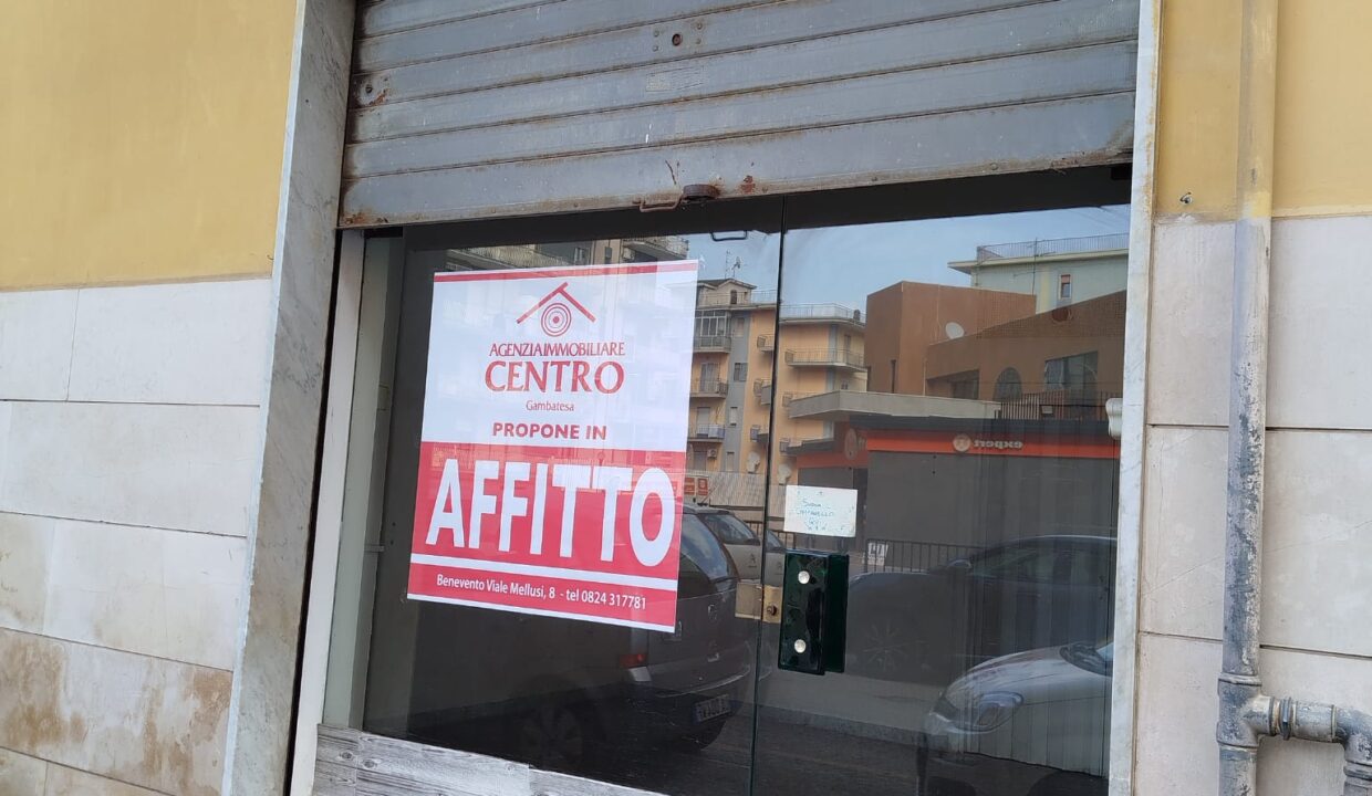 WhatsApp Image 2026-03-13 at 10.35.25 (1)