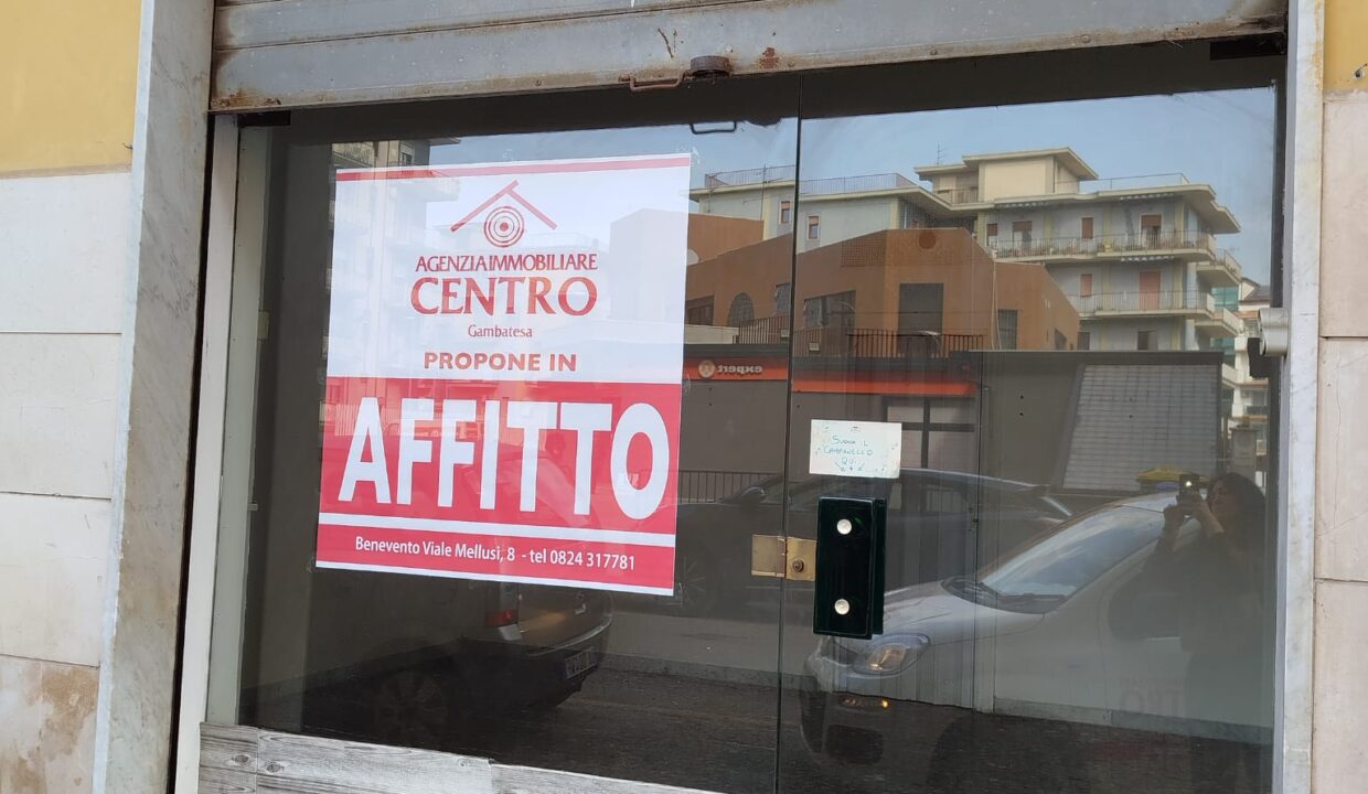 WhatsApp Image 2026-03-13 at 10.35.25