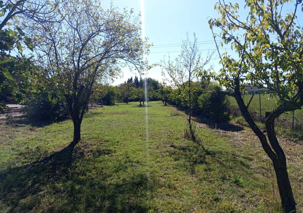 WhatsApp Image 2026-04-01 at 12.54.47(3)