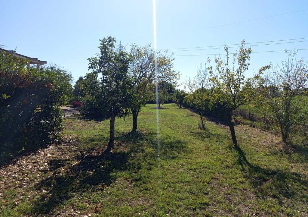 WhatsApp Image 2026-04-01 at 12.54.48(5)