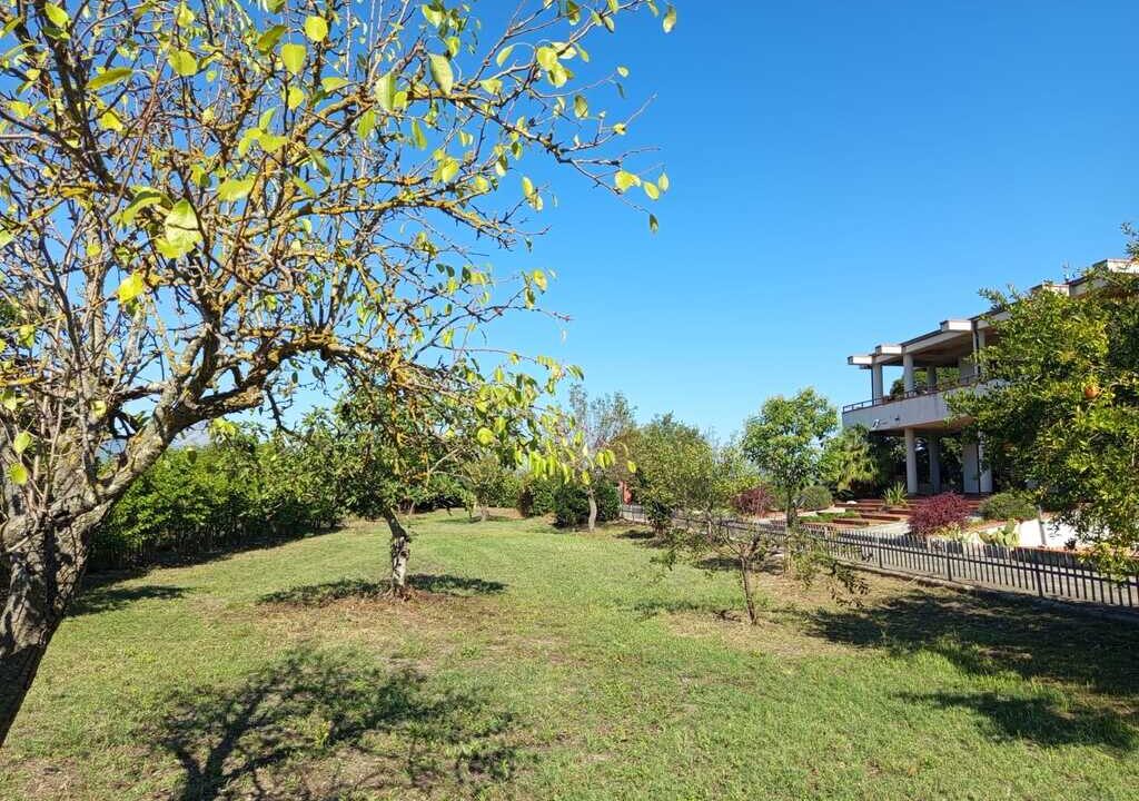 WhatsApp Image 2026-04-01 at 12.54.49