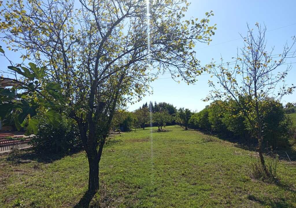 WhatsApp Image 2026-04-01 at 12.54.50(6)